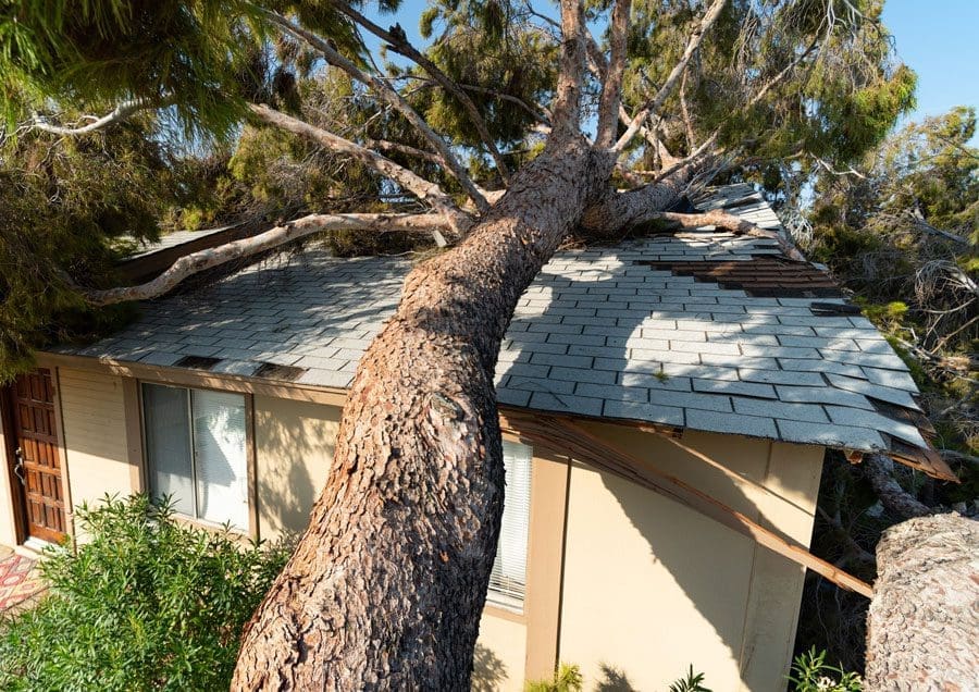 Storm Damage Tree on House